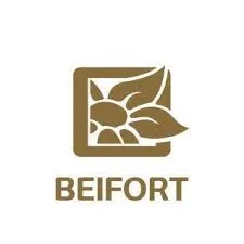 logo-marca-beiforte_1_43_11zon.webp